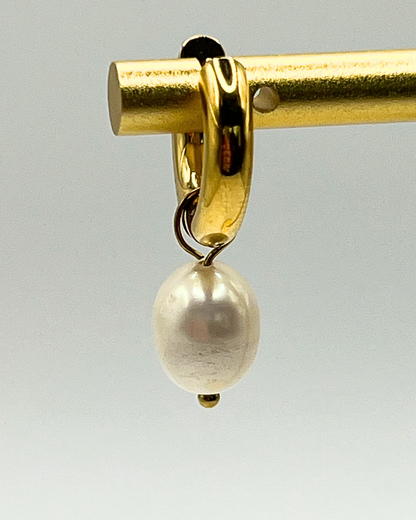 Gouden oorringen met zoetwater parels